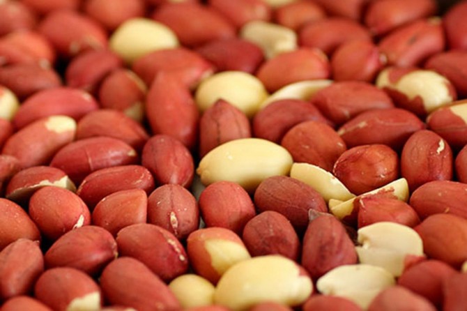 Şanlıurfa'da ham fıstık 7,51 liradan satıldı