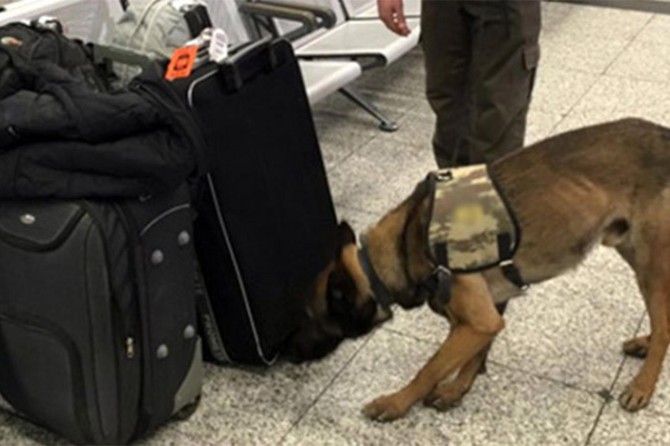 Hollanda'daki köpekli aramaya Türkiye'den misilleme