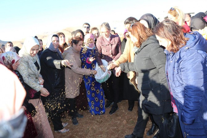 Türkiye'nin ilk yerli buğday tohumu Mardin'de toprağa ekildi