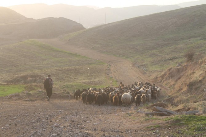 Ji ber ku dê qedexeya zozanan bê rakirin koçer kêfxweş in