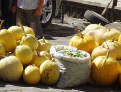 Yöresel Kışlık Dolma Kabak Köylünün Ekmek Teknesi