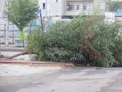 Şiddetli Yağış Mersinlilere Korkulu Anlar Yaşattı