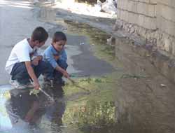 Belediye Neyin Reklamını Yapıyor?