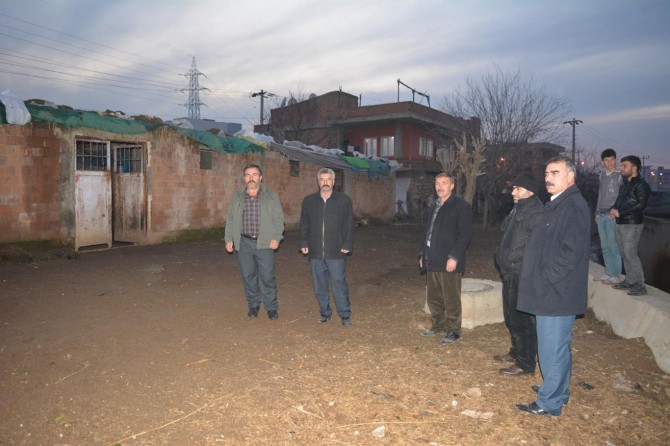 Batman'da 37 küçükbaş hayvan çalındı