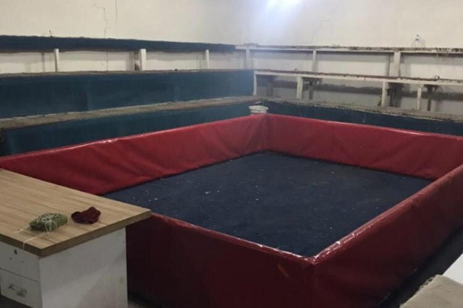 Mardin'de horoz dövüşü operasyonu