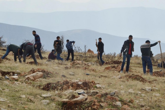 Navê şehîdan li daristanê kirin