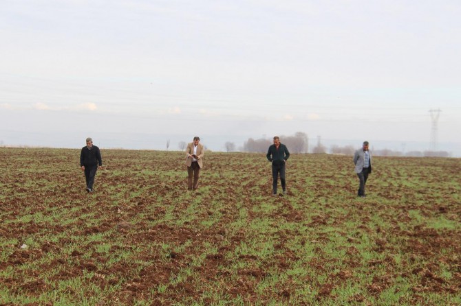 Kuraklık çiftçileri tedirgin ediyor