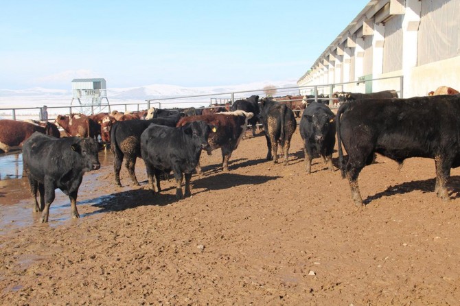 VOTAŞ’ın çarkını devam ettirmeyi amaçlıyoruz