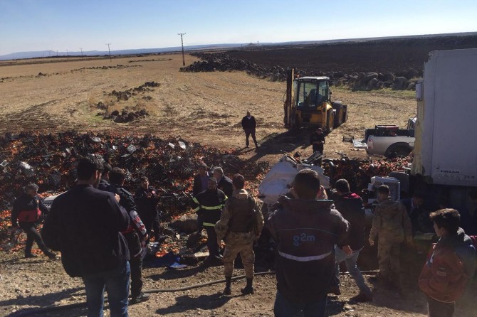 Nusaybin'de mandalina yüklü TIR şarampole yuvarlandı: 1 yaralı