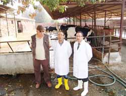 Programlı Şap Aşılama Süreci Başladı