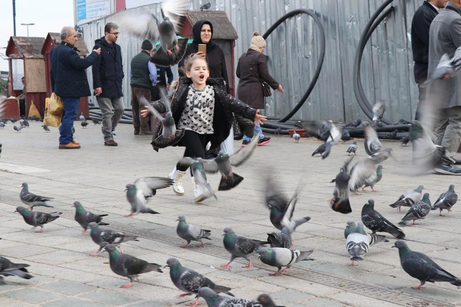 İstanbullular kış ayında baharı yaşıyor