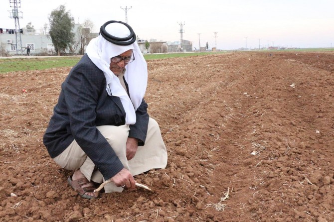 Mardin Ovası’nda kuraklık tehlikesi büyüyor