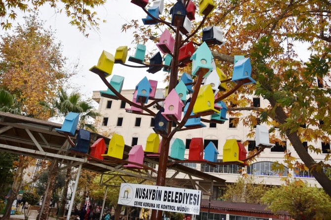 Nusaybin'de kuşlar için yuva yapıldı