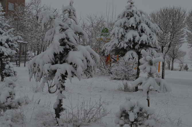 Bitlis’te 47 köy yolu ulaşıma kapandı