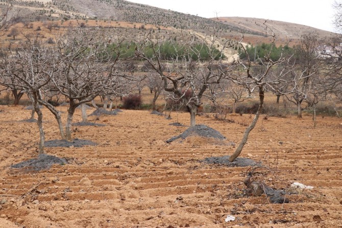 ​"Kuraklığın çözümü GAP'ın hızlandırılmasıdır”