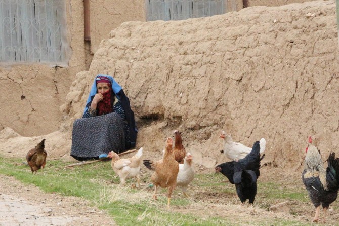 "Allah’a şükredenler azaldı"