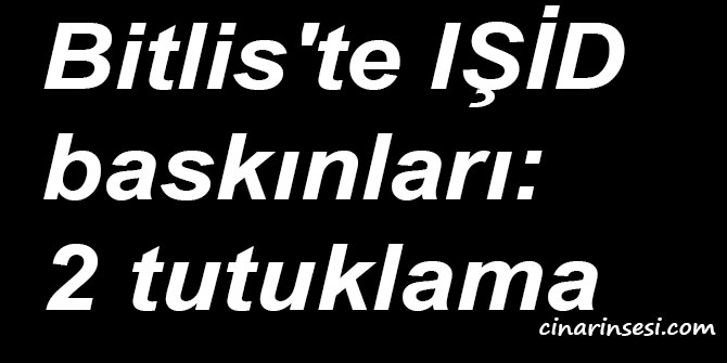 Bitlis'te IŞİD baskınları: 2 tutuklama