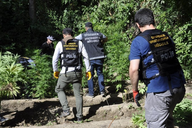 15 günde 6 bin 18 uyuşturucu operasyonu düzenlendi