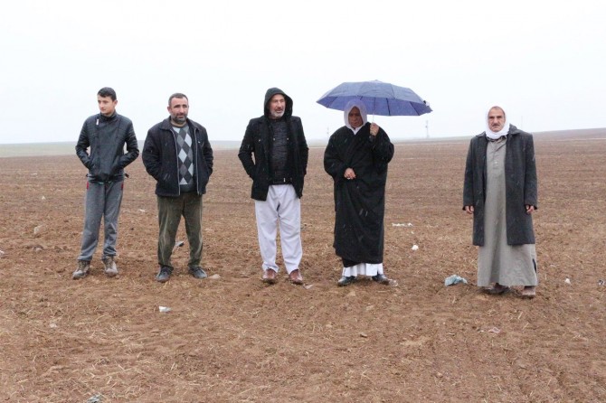 Yağmur Mardin'de çiftçileri sevindirdi