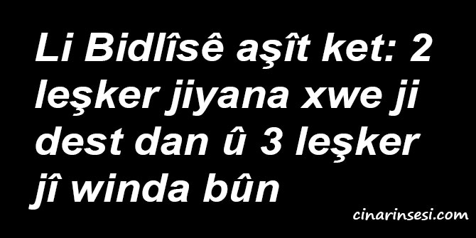 Li Bidlîsê aşît ket: 2 leşker jiyana xwe ji dest dan û 3 leşker jî winda bûn