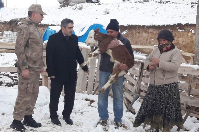 Çalınan büyükbaş hayvanlar sahibine teslim edildi