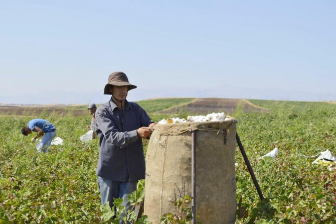 Mevsimlik işçiler de 'İşsizlik Fonu'ndan faydalansın