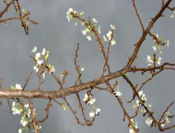 Soğuk Hava Ülkeyi Terk Ediyor