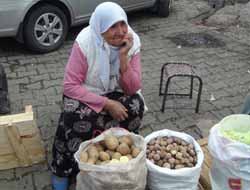 Toplum Hayasızlaştırıldı