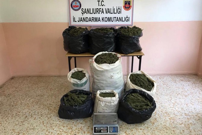 Şanlıurfa'da esrar ele geçirildi