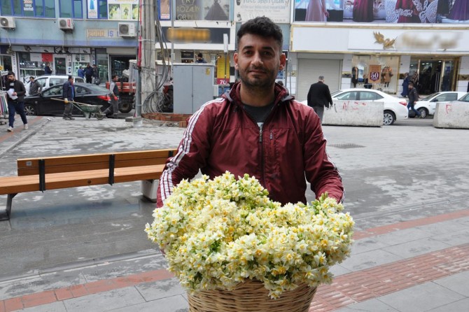 Baharın müjdecisi nergis satılmaya başlandı