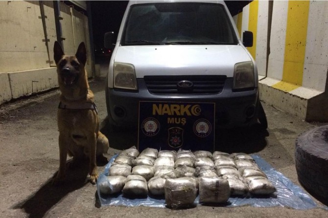 Muş'ta esrar ele geçirildi