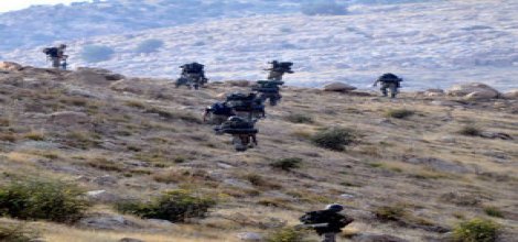 Şemdinli'de 17 PKK mensubu öldürüldü