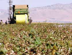 GAP Modern Tarımla Tanışıyor