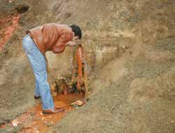 Böbrek Taşlarınıza Şifalı Su