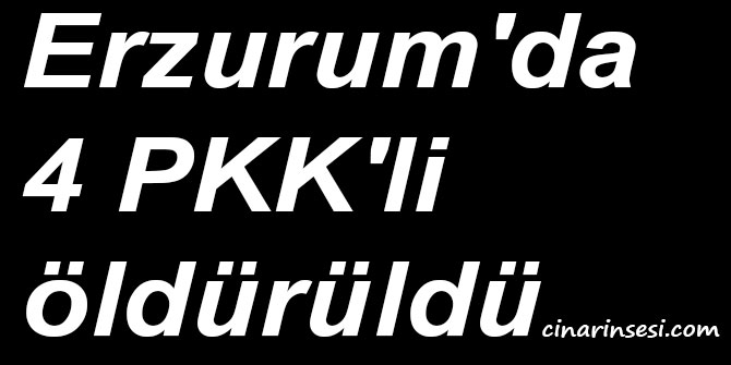 Erzurum'da 4 PKK'li öldürüldü
