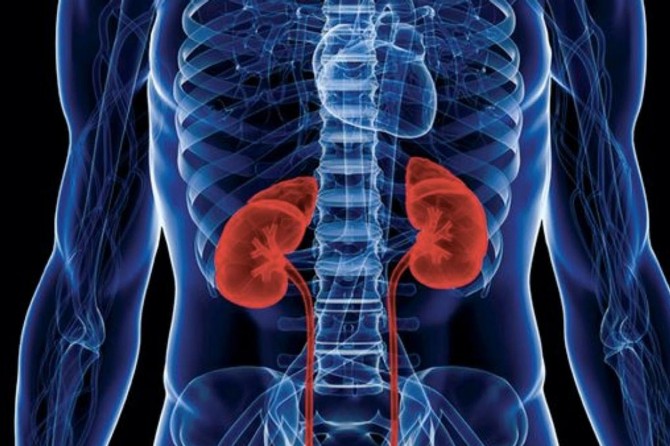 Böbrek taşı riskine karşı 7 önlem