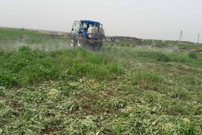 Tarla ilaçlamalarına hız verildi