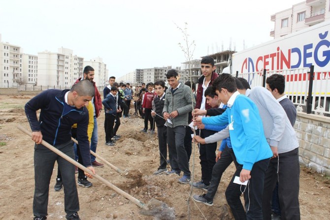 Öğrencilerden fidan dikimi
