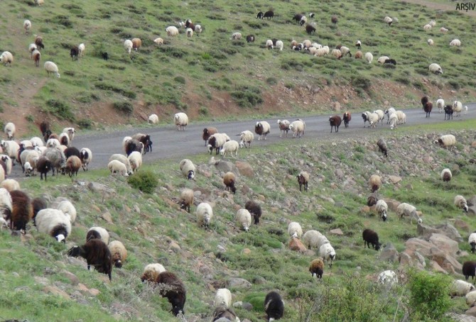 Van Valiliğinden "mera" açıklaması