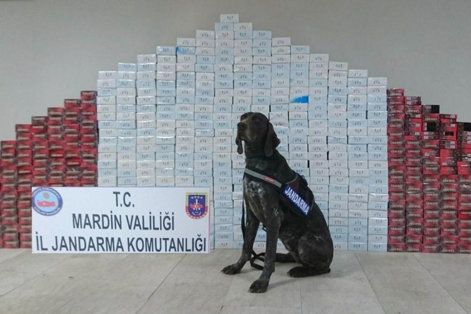 Kızıltepe'de gümrük kaçağı sigara ele geçirildi