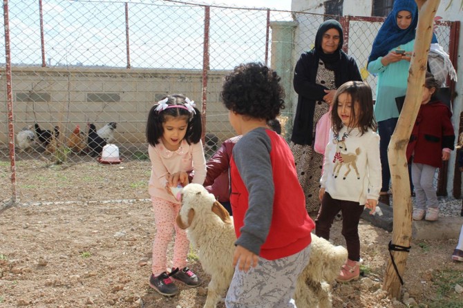 Mardin'de anaokuluna hayvan kümesi yapıldı