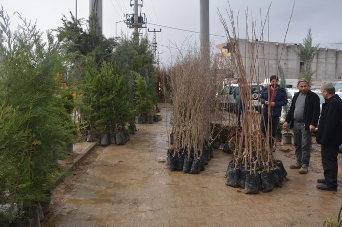 Fidanlardaki fiyat artışı satışları kötü etkiliyor