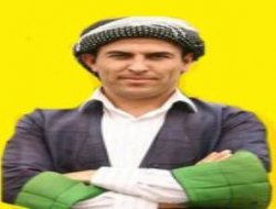 BDPli vekil açlık grevinde