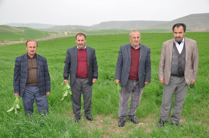 "TMO alım fiyatlarını erken açıklamalı"