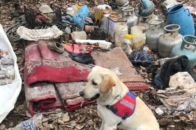 Bitlis kırsalında PKK operasyonu