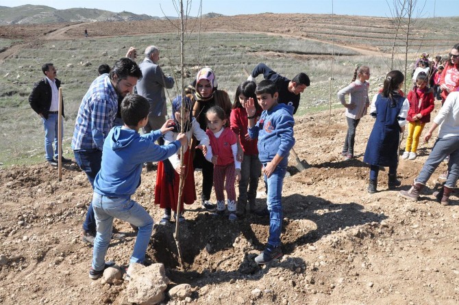 Batman ilkokulu öğrencileri kampüste fidan dikti