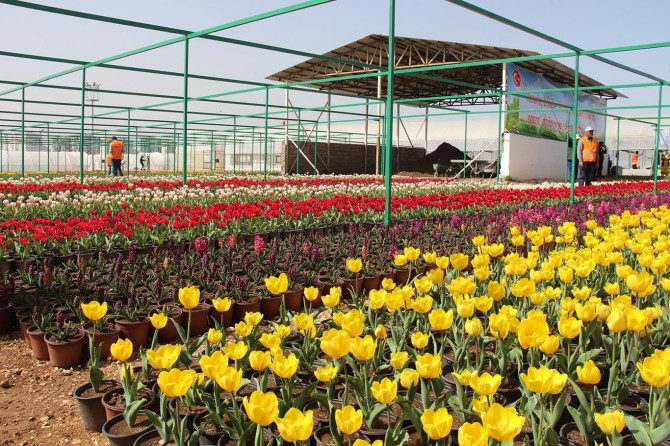 Diyarbakır’da '2 Milyon Çiçek 500 Fidan Projesi'nin açılış töreni yapıldı