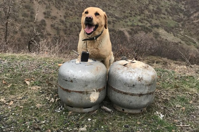 Bingöl'de yola tuzaklanmış el yapımı patlayıcı imha edildi
