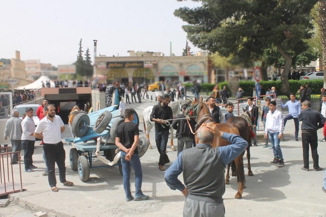​At arabacılar kırık arabalarıyla eylem yaptı
