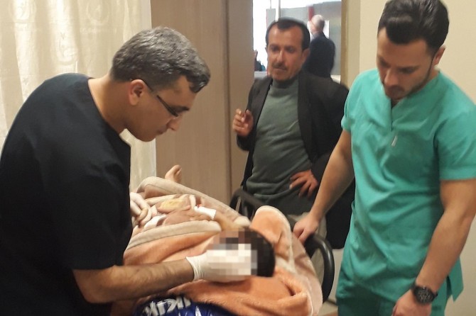 Kavak ağacından düşen kişi yaralandı